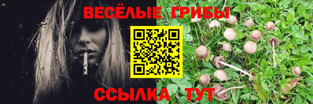 Калач-на-Дону  Галлюциногенные грибы Cubensis  Вход с VPN 
