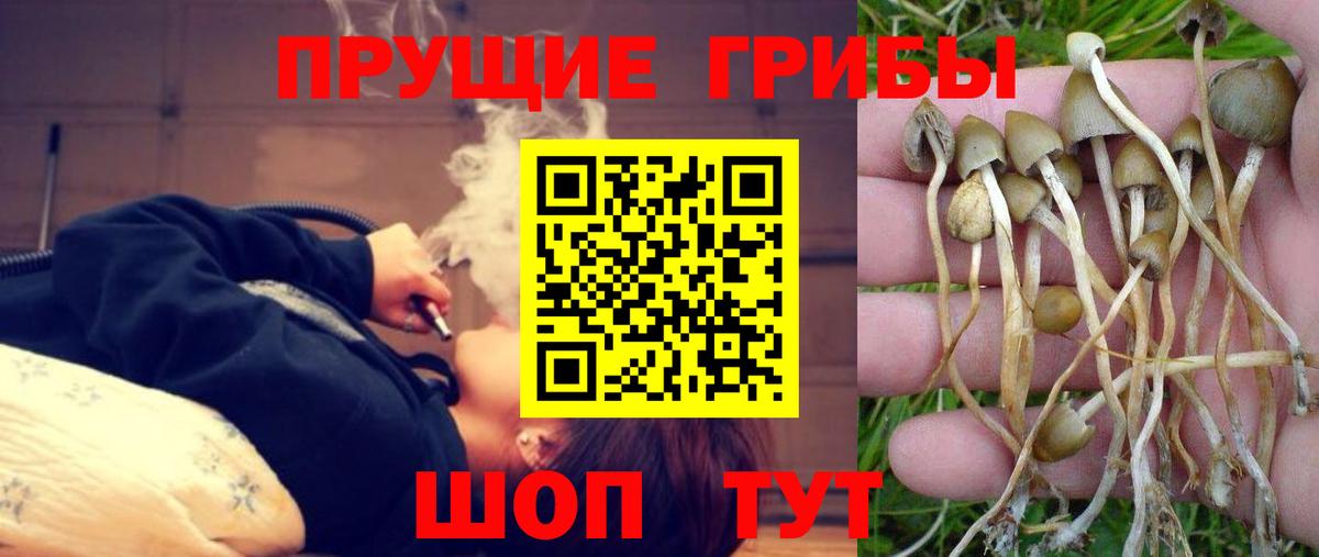 Псилоцибиновые грибы мухоморы Калач-на-Дону